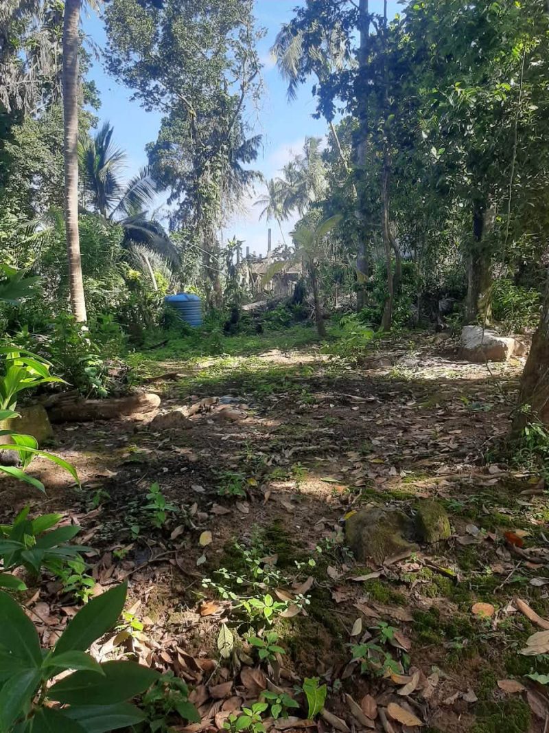 53 Perch Property with 1960s Stone House in Heenatigala, Galle